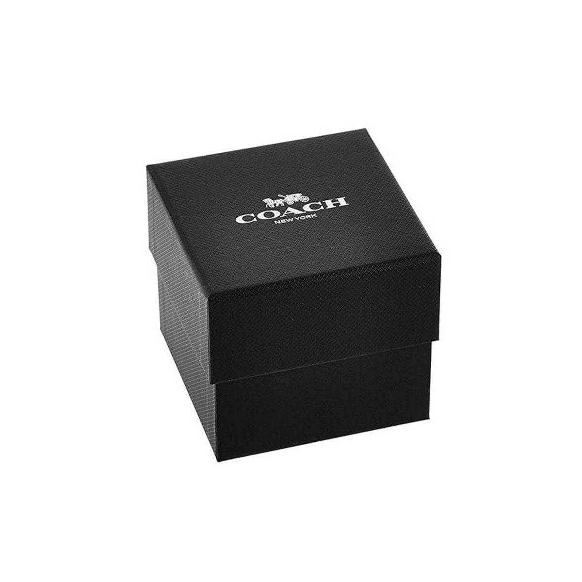 Coach Women Cass White Square Dial Analog Watch